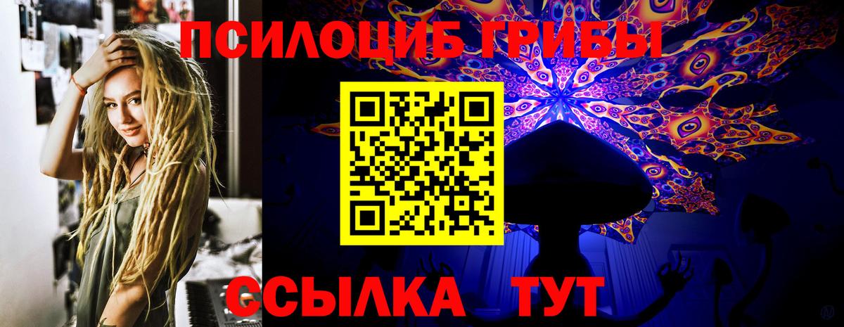 где купить   Псилоцибиновые грибы мицелий  Вход с VPN  Советская Гавань 