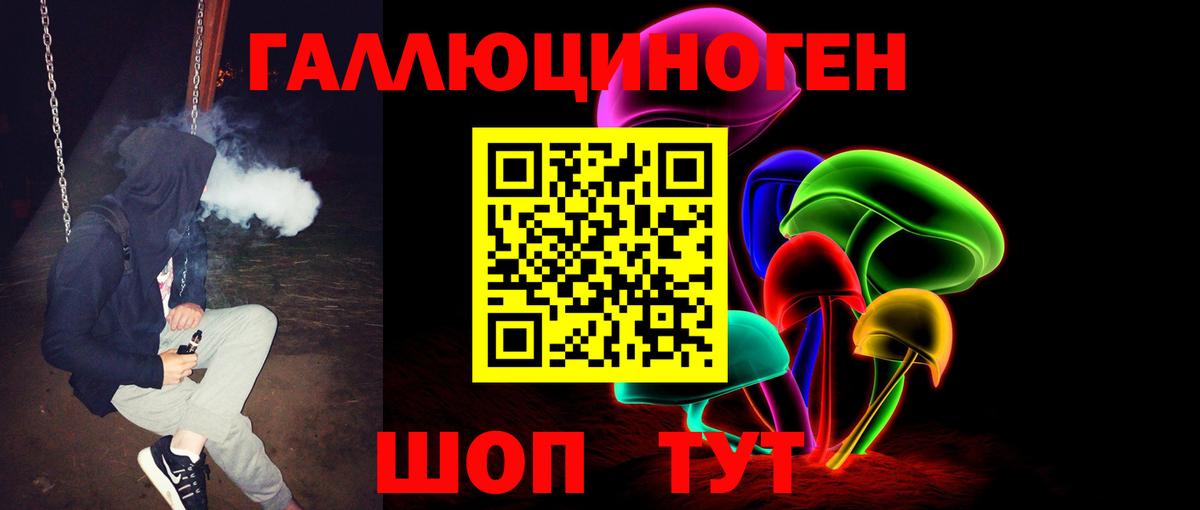 Псилоцибиновые грибы Psilocybine cubensis Советская Гавань